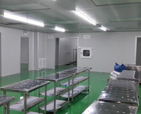 潔凈室凈化工程 滁州凈化工程 安徽騰義 經驗豐富